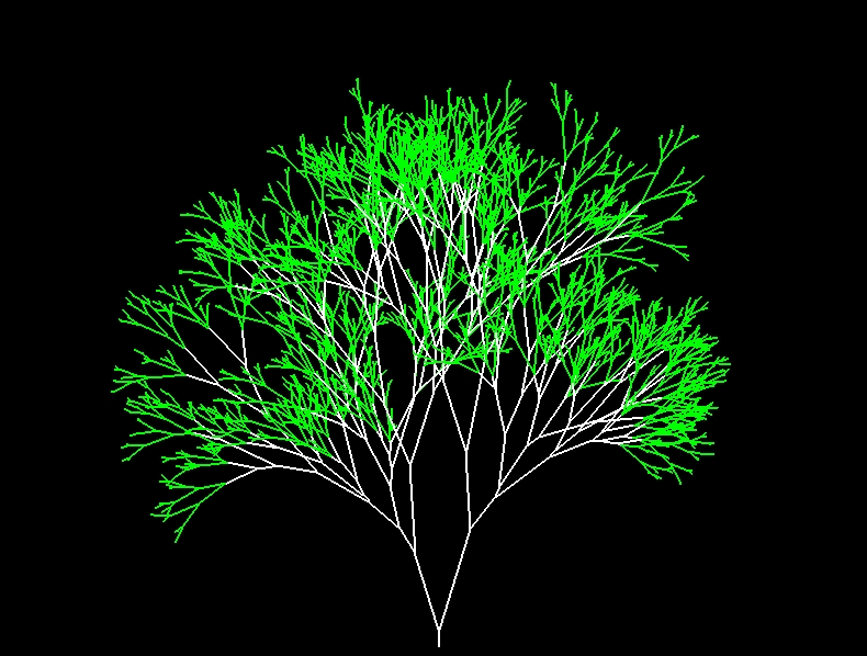 Drawing a binary fractal tree