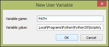 Setting environment variables for Python