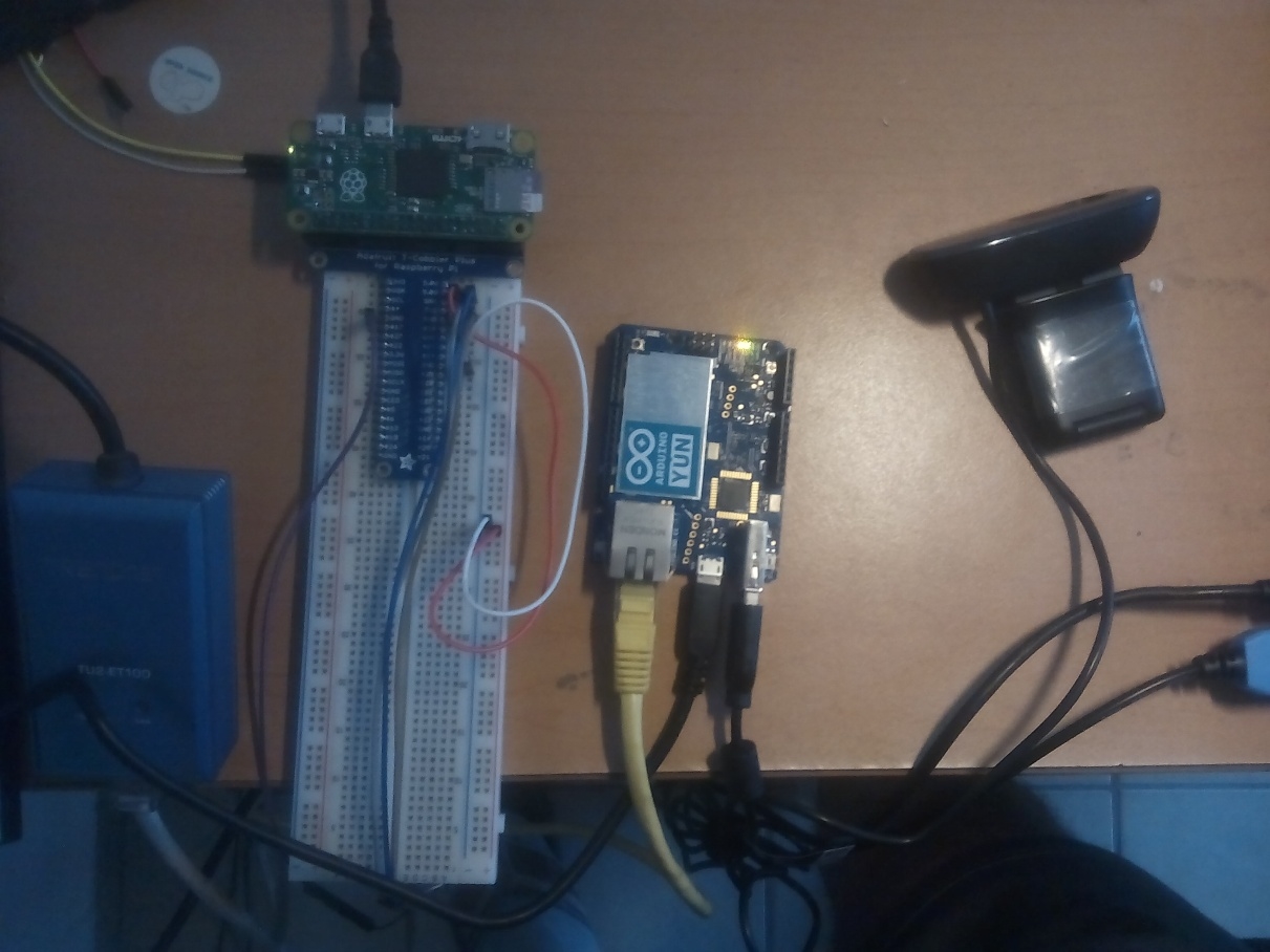 Monitoring the USB camera from the Raspberry Pi