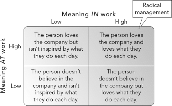 The Distinction Between Meaning at Work and Meaning in Work Source: Based on Conley, C. Peak: How Great Companies Get Their Mojo from Maslow. San Francisco: Jossey-Bass, 2007.