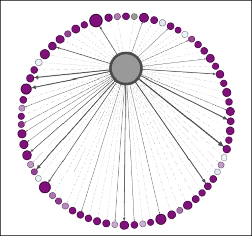 Implementing and viewing dynamic attribute networks