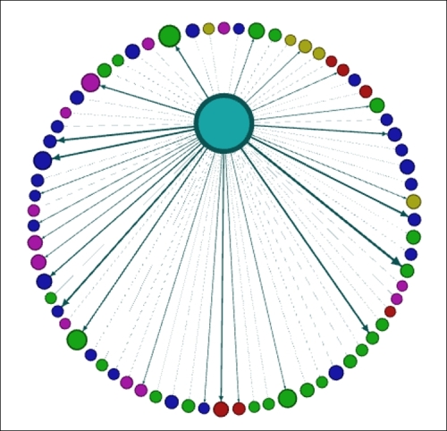 Implementing and viewing dynamic attribute networks