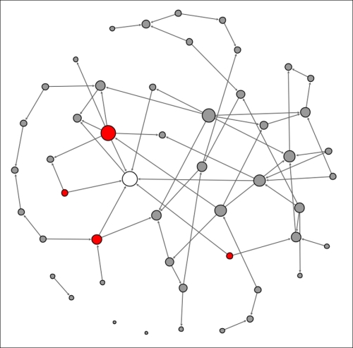 Viewing a contagion network