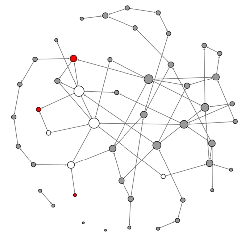 Viewing a contagion network