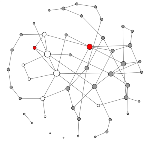 Viewing a contagion network