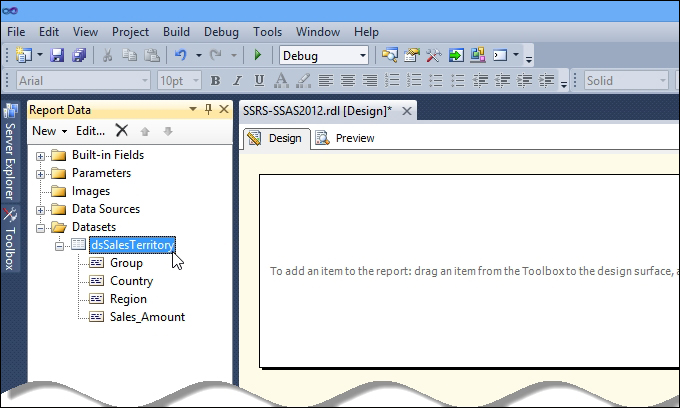 Using the dataset on the report designer