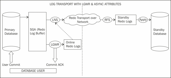 Redo transport services