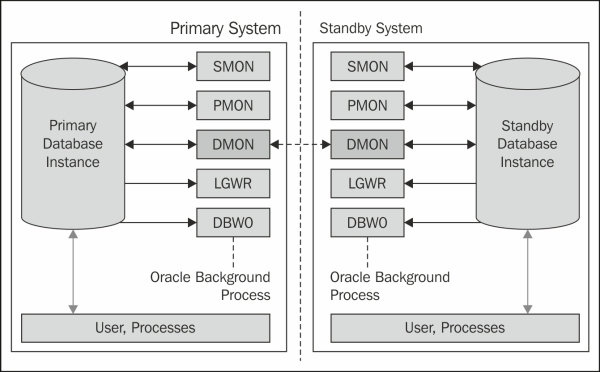 Data Guard Monitor process (DMON)