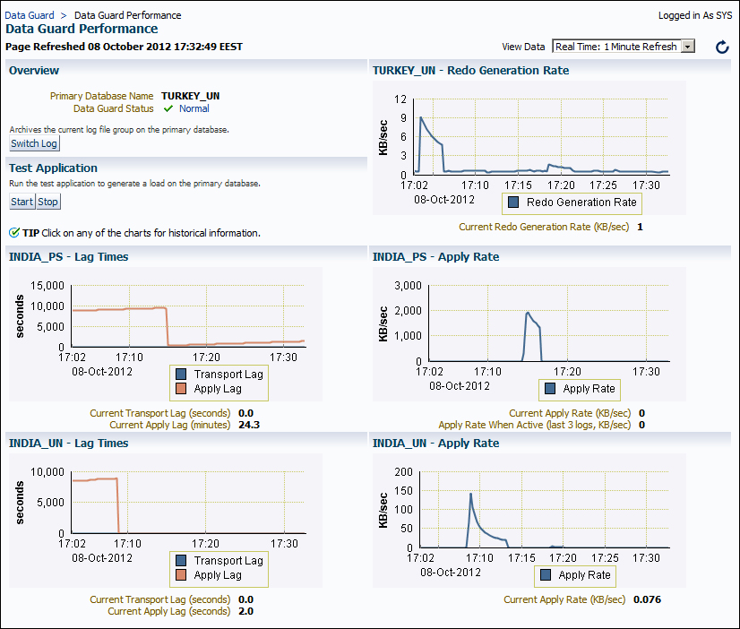 Monitoring Data Guard performance