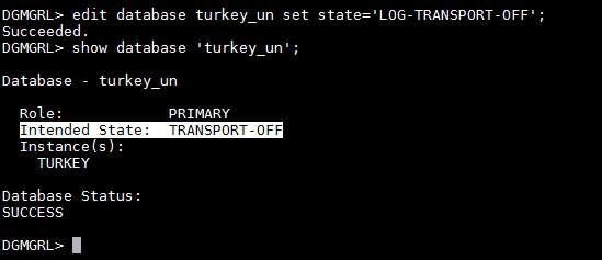 Time for action – applying PSU on a physical standby database