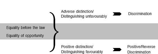 Equality and Discrimination