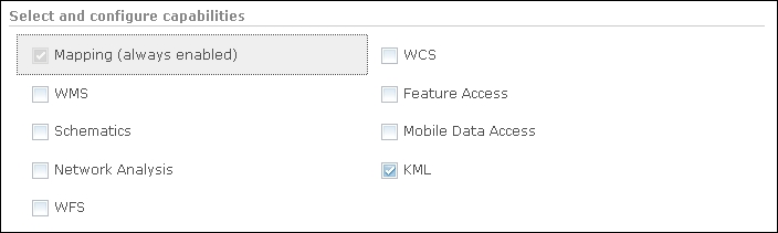 WMS versus the mapping service