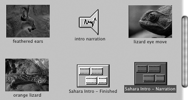 Viewing Project Elementsbinsviewing project elementsBrowserviewing project elementsiconsfor project elementsprojectsviewing elementsView as IconsView as List optionview optionsproject elements