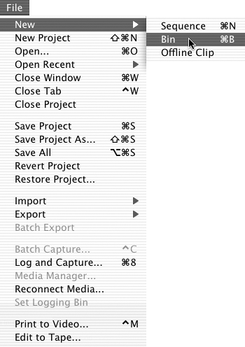 Creating and Naming Binsbinscreating and naminginterfacebins