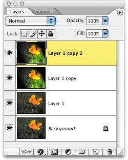 APPLYING MULTIPLE FILTERS? NOT ON MY LAYER!filterslayers andfiltersmultipleHistory feature,History palettesnapshotslayer blend modes,layersfilters andMetadata palette,New Snapshot button,palettesMetadatasnapshots,undo featureHistory palette