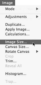 Choose Image > Image Size.