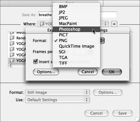 Select an export format for your still image from the pop-up menu.