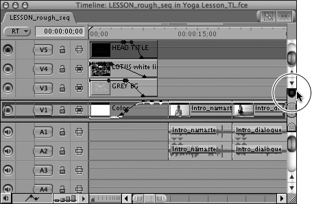 Drag the thumb tab up the scroll bar to create a static display area for a video track in the Timeline.