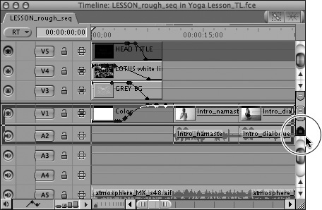 Drag the thumb tab down the scroll bar to create a static display area for an audio track in the Timeline.