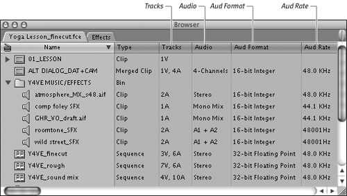Audio format information columns displayed in the Browser.