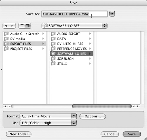 Type a name for your file in the Save dialog box’s Save As field.