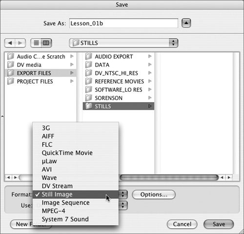 Select Still Image from the Format pop-up menu.