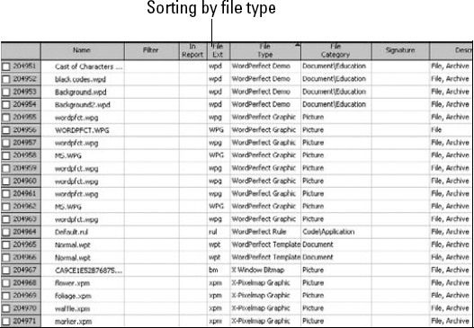 Forensic software grouping files by type.