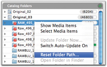 After the migration, you may need to tell the catalog where the new files are. Right-click in Expression Media to bring up the menu to reset paths.