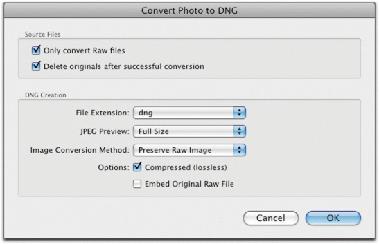 The Lightroom dialog box for converting to DNG. You can have Lightroom erase the raw originals after successful conversion to DNG.
