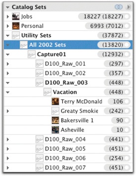 The Folder to Catalog Sets script creates a duplicate of the folder hierarchy in catalog sets, so you can preserve the organization, even if you put the files in new folders.