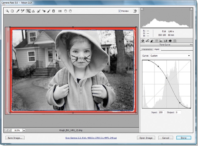Use the curves in ACR to invert the image. The Crop tool can also be helpful if the image is not lined up properly.