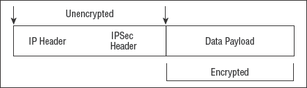 IPSec's encryption of a packet in transport mode