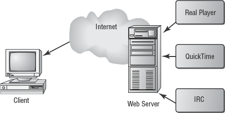A web server providing streaming video, animations, and HTML data to a client