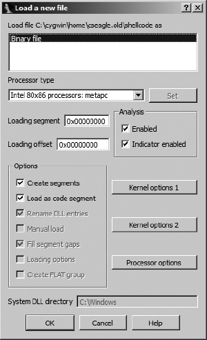 Loading a binary file