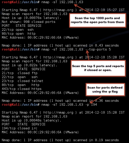 Different options for port scan