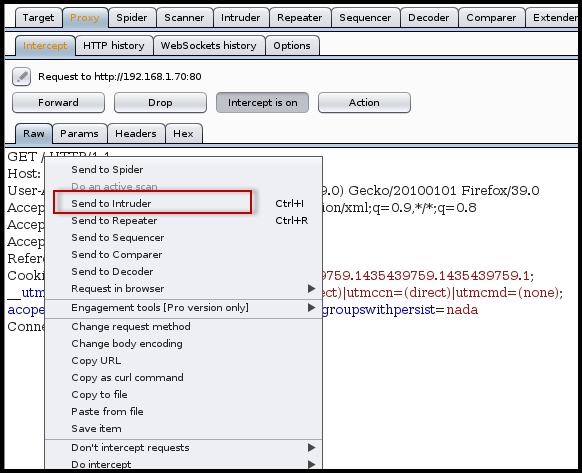 Fuzzing using Burp intruder