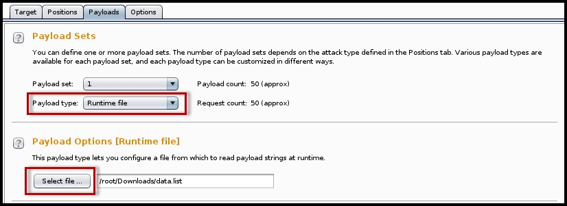 Fuzzing using Burp intruder