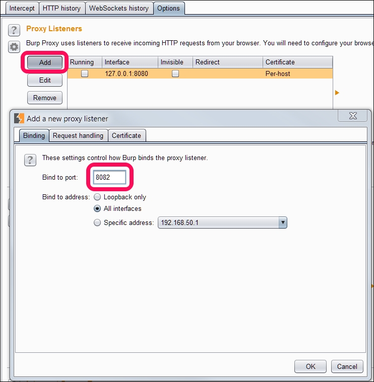 Setting up Burp Suite Proxy for testing