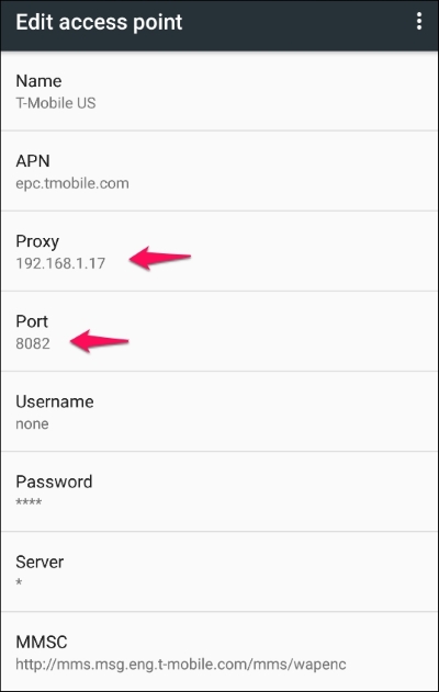 Proxy setting via APN