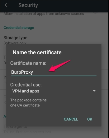 Bypass certificate warnings and HSTS