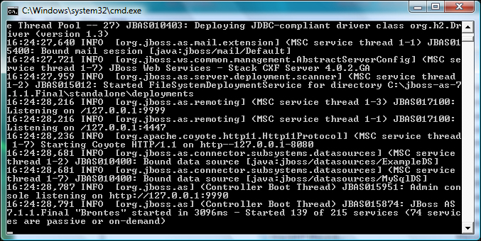 Starting up JBoss AS