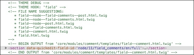 Creating a Field Comments template