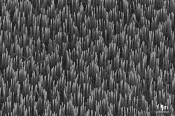 Aligned semiconducting ZnO nanowire arrays. These wires are grown uniformly from a solid substrate, and their location and density can be defined by the deposited catalyst of gold.