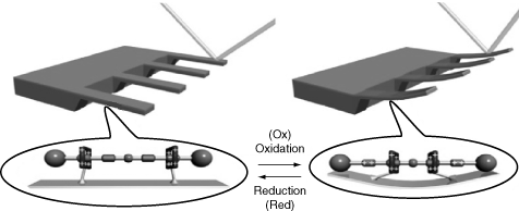 A microcantilever beam activated by nanoscale motor molecules (Huang et al. 2004).