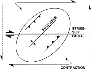 Simple model for compression and strain. Strike-slip faults lie at a 45-deg angle, and reverse faults and fold axes form at about a 45-deg angle, from the contraction direction (the direction of maximum principal stress). The simple double-couple model for stress and strain assumes a continuous (unfractured) material body. This model is inconsistent with observed geometrics associated with strike-slip faults.