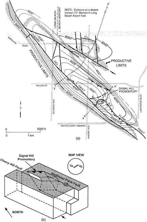 (a) Structural map of Long Beach Anticline showing Cherry Hill and Northeast Flank faults that locally define the Newport-Inglewood Trend. Profile C-C′, which trends NW-SE across the Signal Hill pressure ridge, is parallel to the surface trace of the Northeast Flank and Cherry Hill Faults.