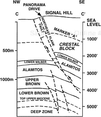 Cross section C-C′ across Signal Hill, parallel to Cherry Hill Fault. See Fig. 12-12a for location.