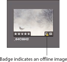 A badge overlay over a thumbnail in Aperture indicating an offline image.