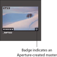 This badge overlay on a thumbnail or image means that this version has an Aperture-created master.