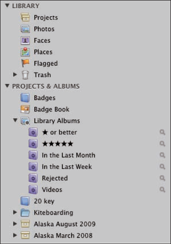 The Library and Projects & Albums groups within the Library Inspector.